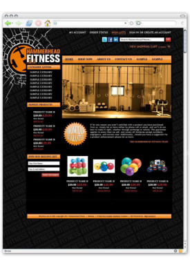 Hammerhead Fitness
Level 2 Design/Development Package